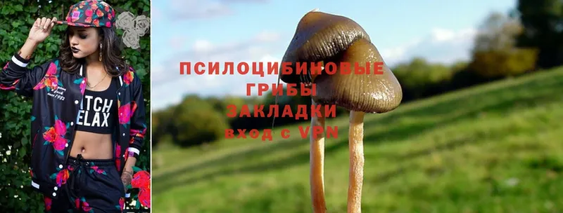 Псилоцибиновые грибы Magic Shrooms  Серафимович 